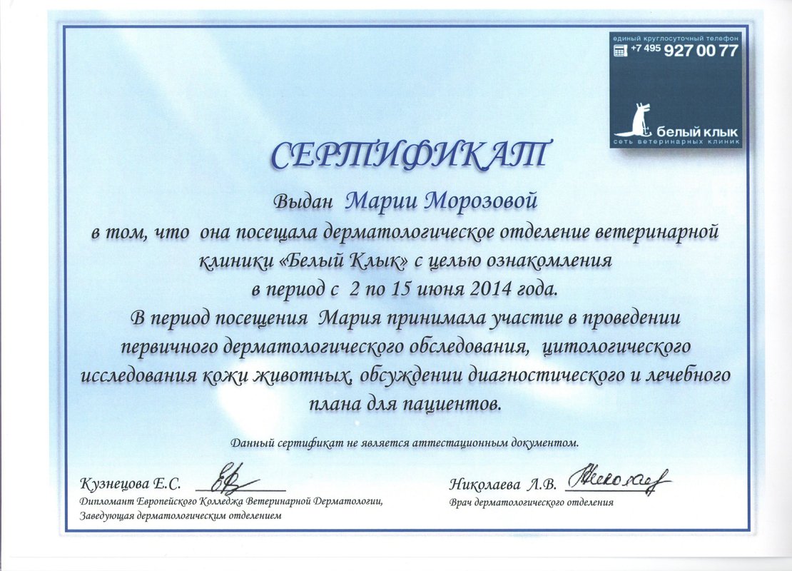 Документ или сертификат