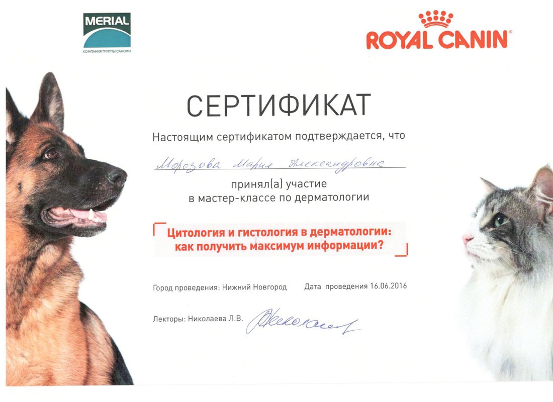 Документ или сертификат