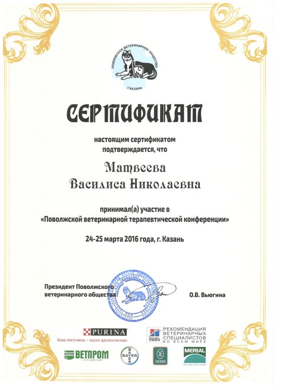 Документ или сертификат