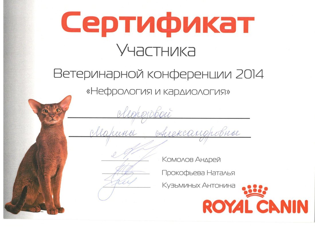 Документ или сертификат