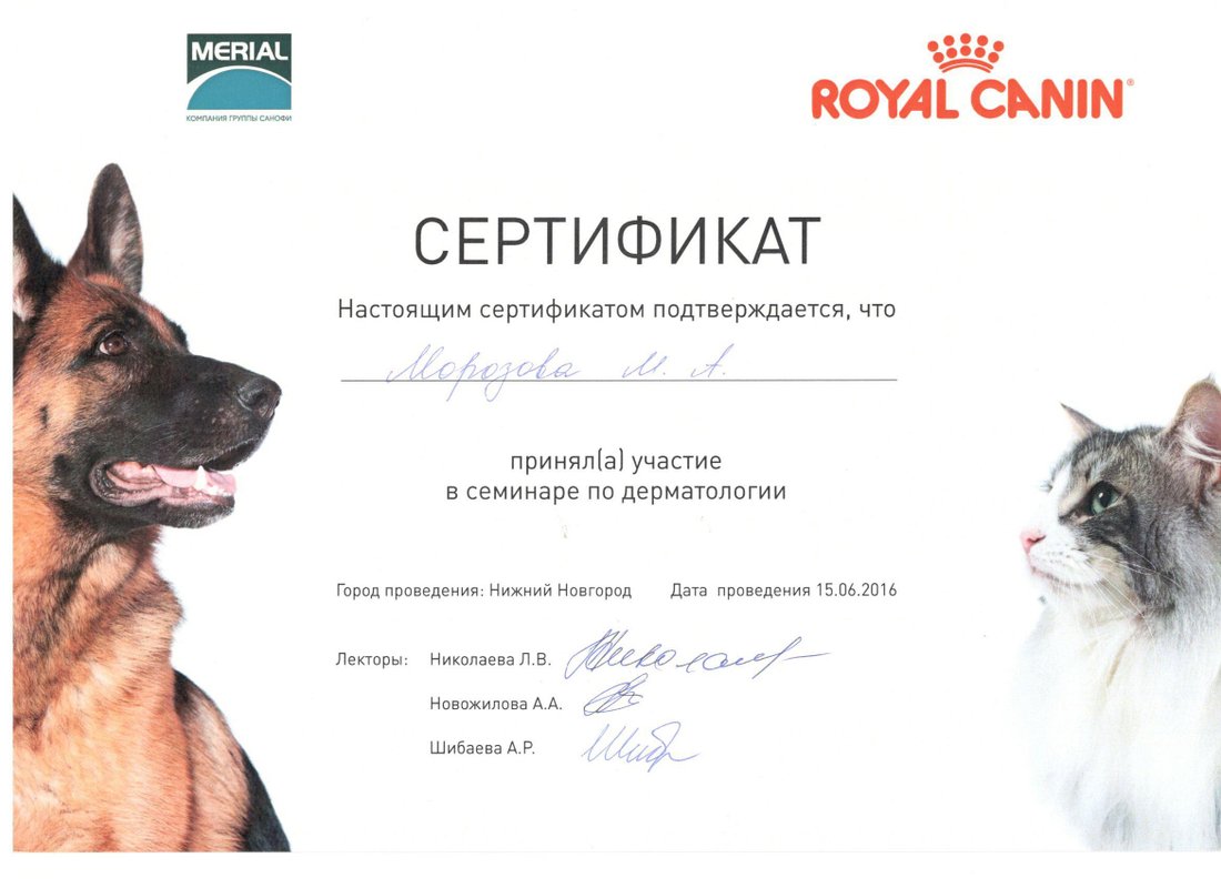 Документ или сертификат