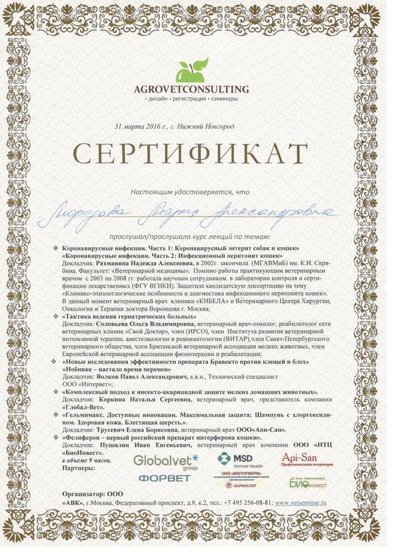 Документ или сертификат