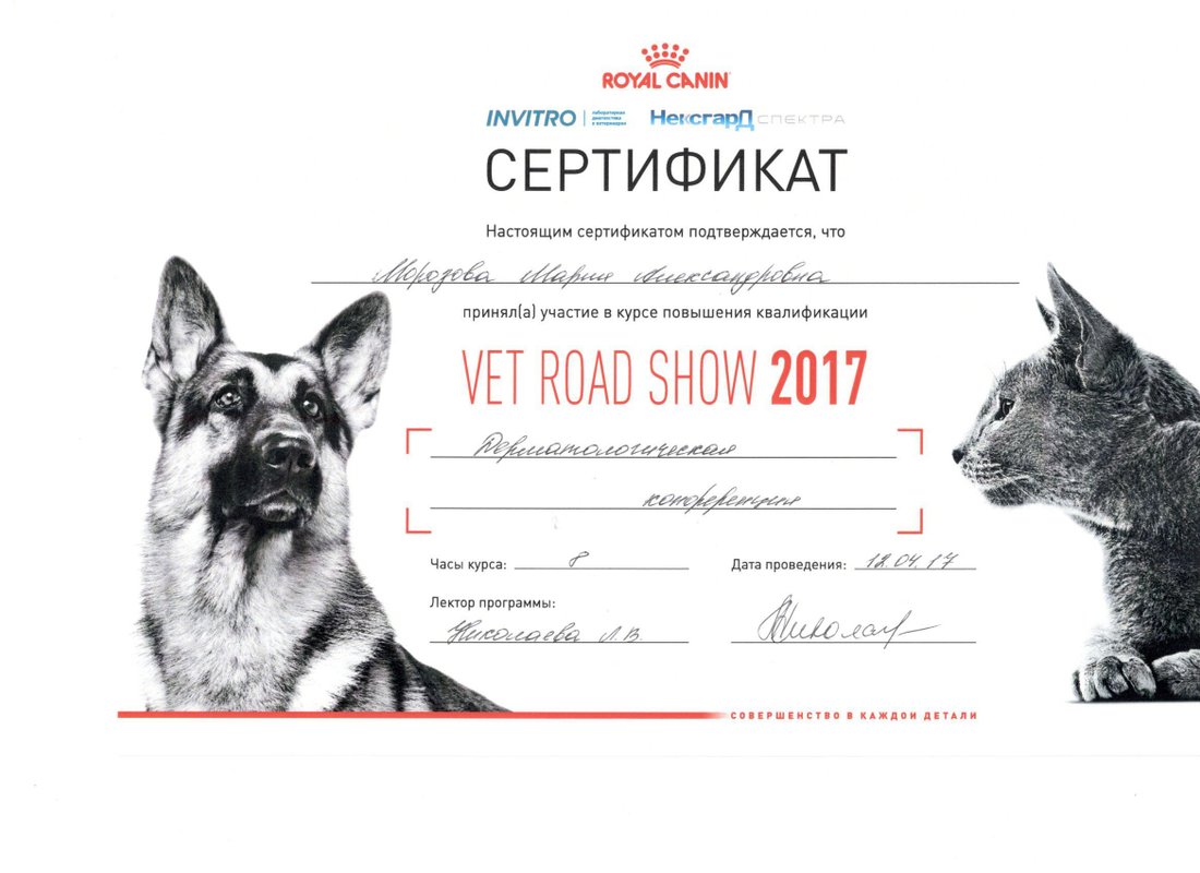 Документ или сертификат