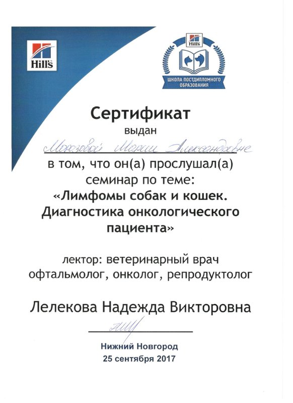 Документ или сертификат