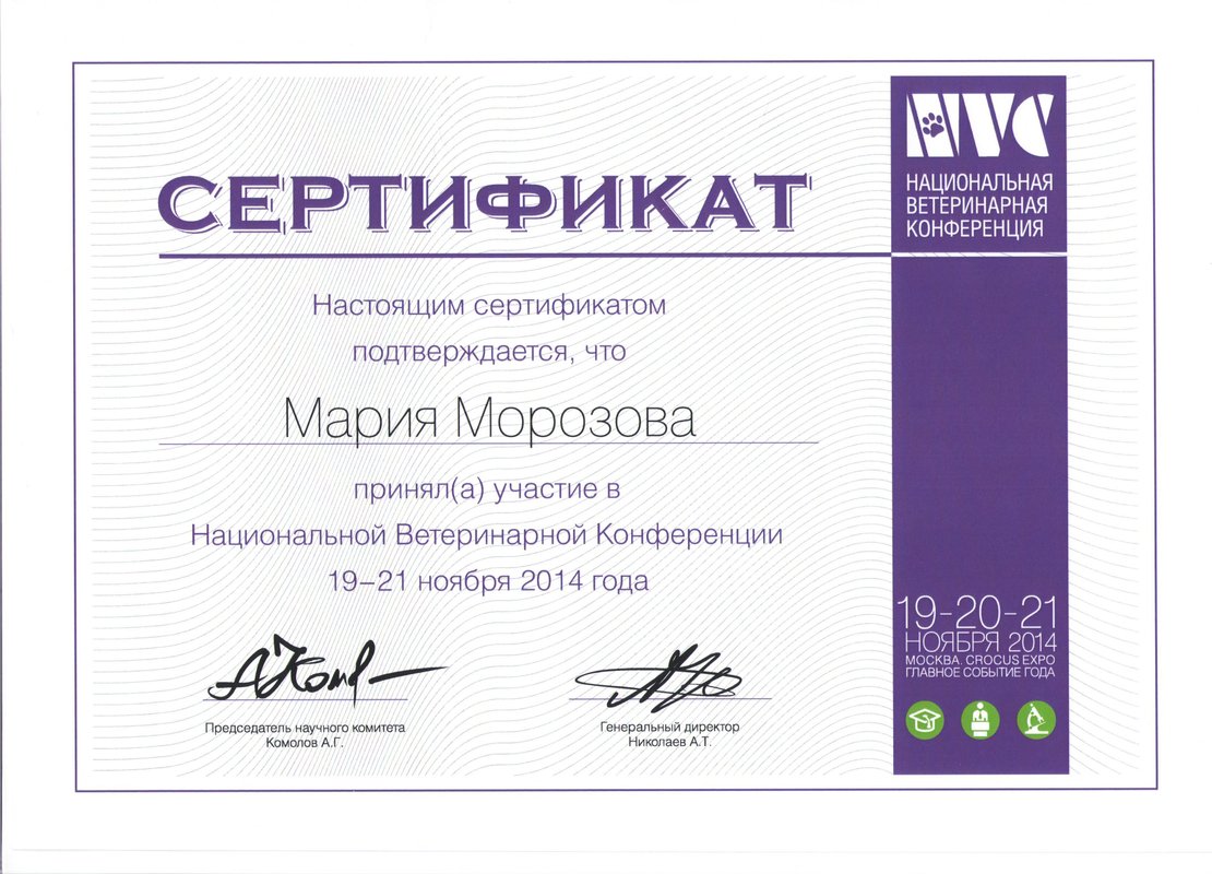 Документ или сертификат