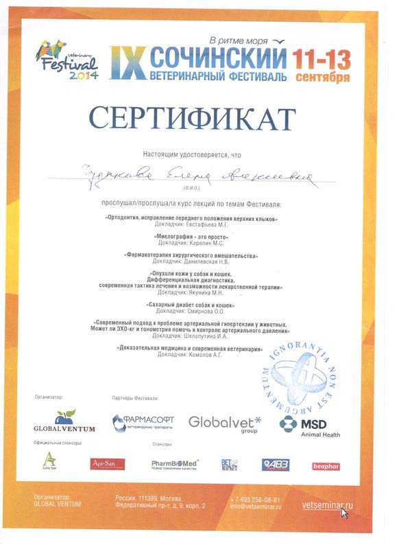 Документ или сертификат