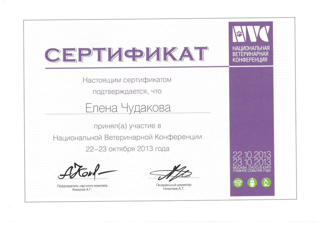 Документ или сертификат