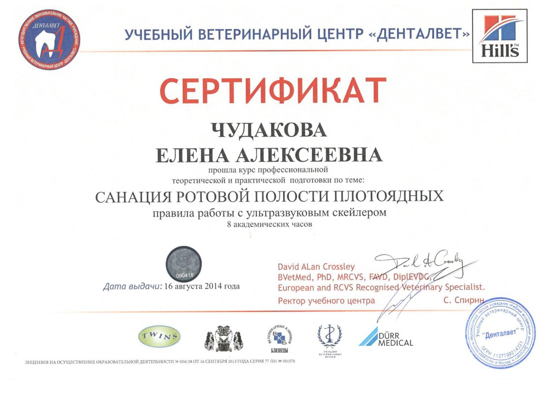 Документ или сертификат