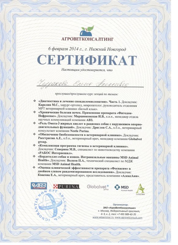 Документ или сертификат