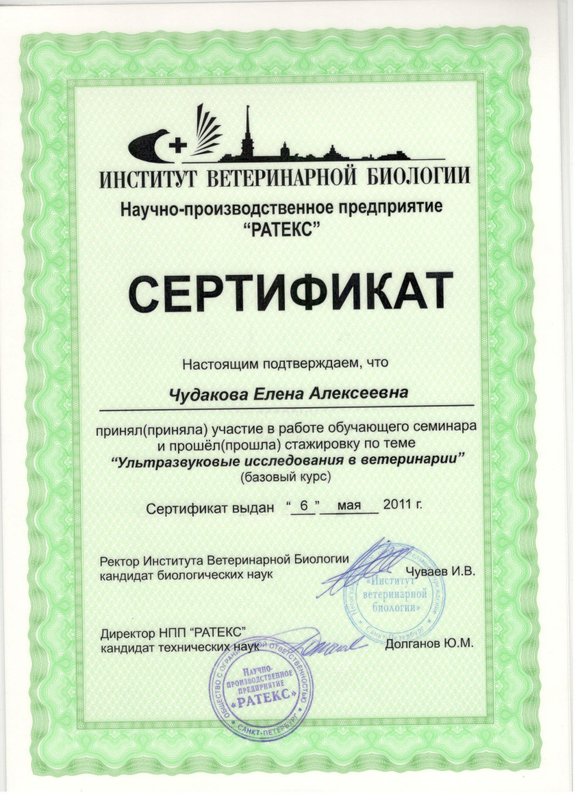Документ или сертификат
