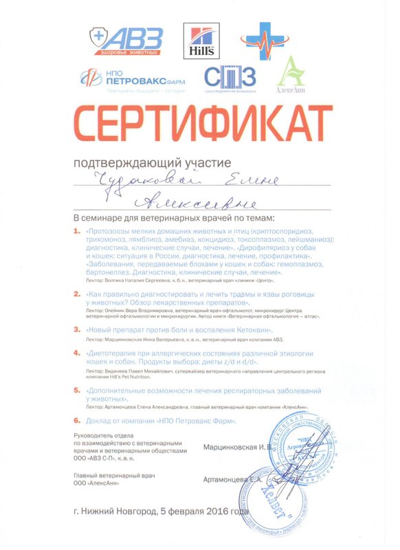 Документ или сертификат