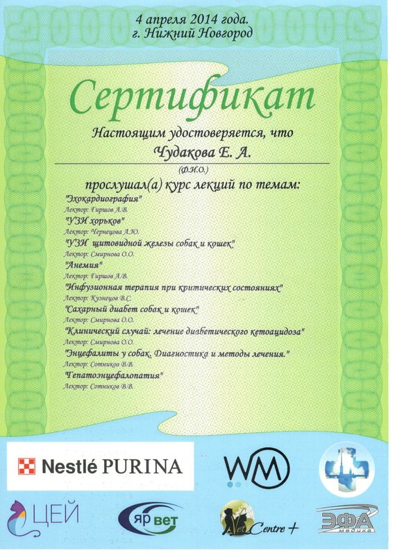 Документ или сертификат