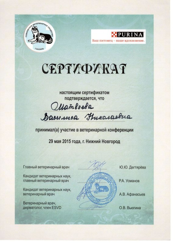 Документ или сертификат