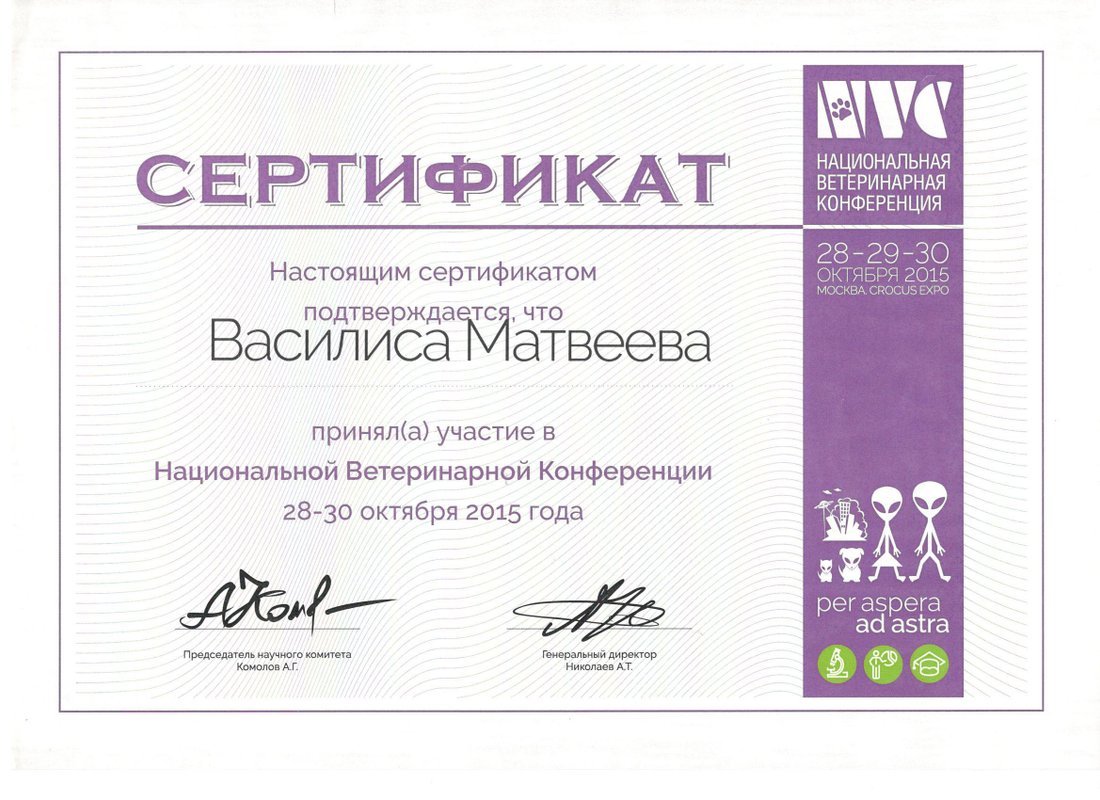 Документ или сертификат