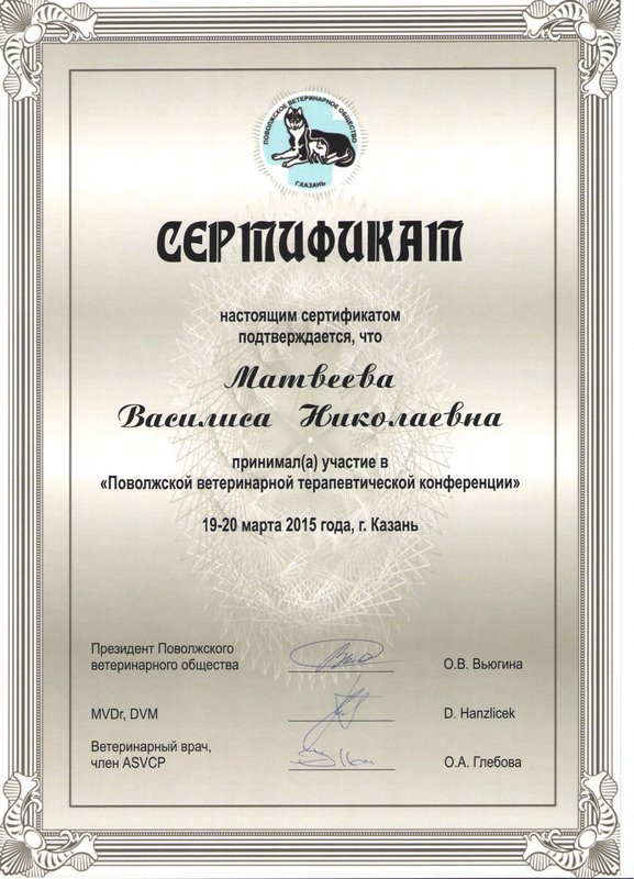 Документ или сертификат