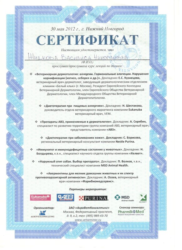 Документ или сертификат
