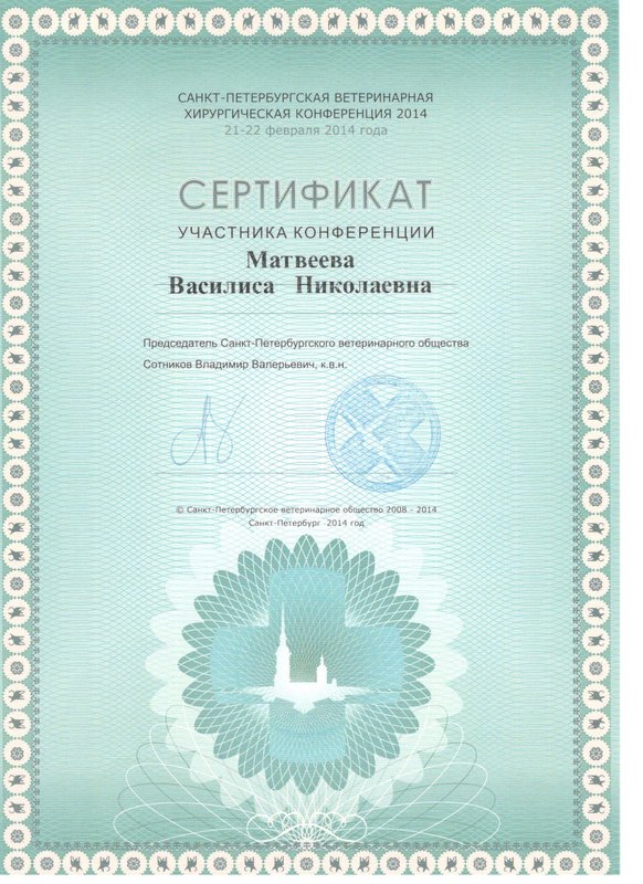 Документ или сертификат