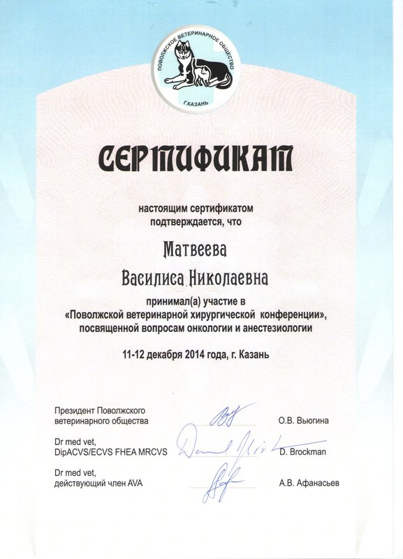 Документ или сертификат