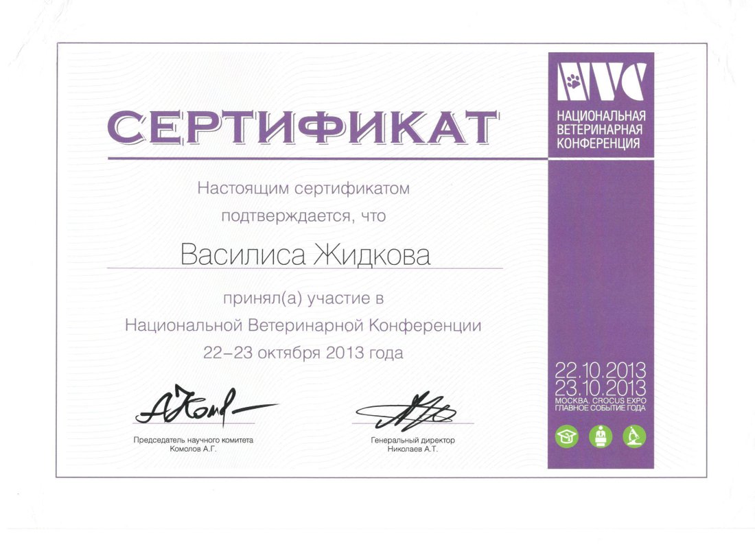 Документ или сертификат