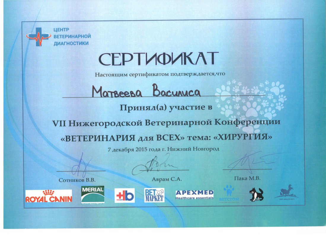 Документ или сертификат