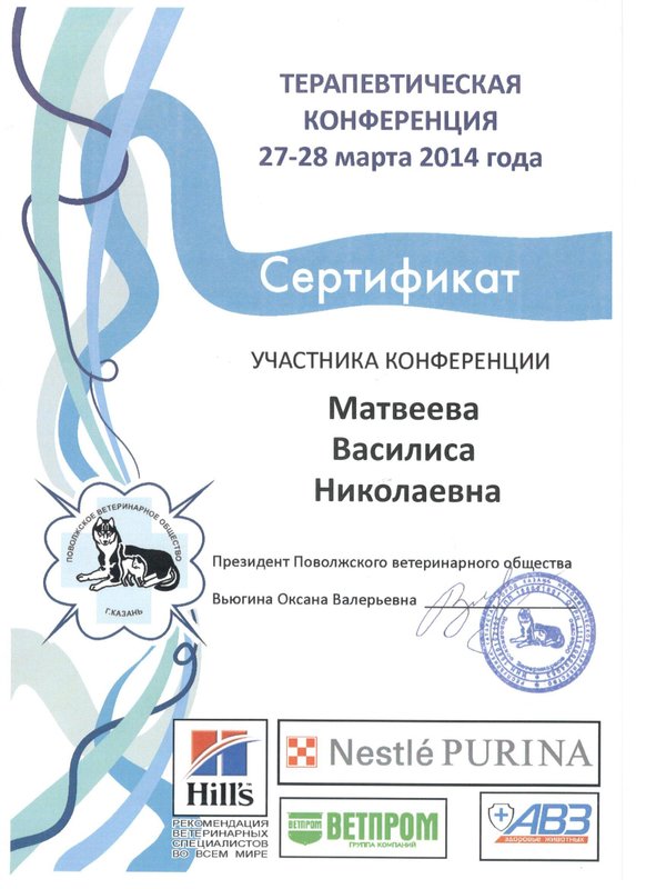 Документ или сертификат