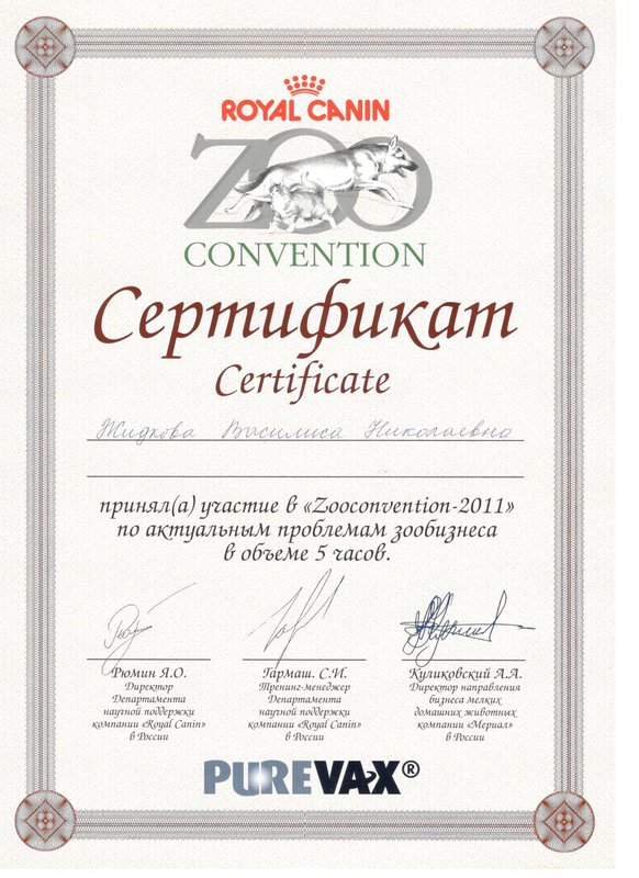 Документ или сертификат