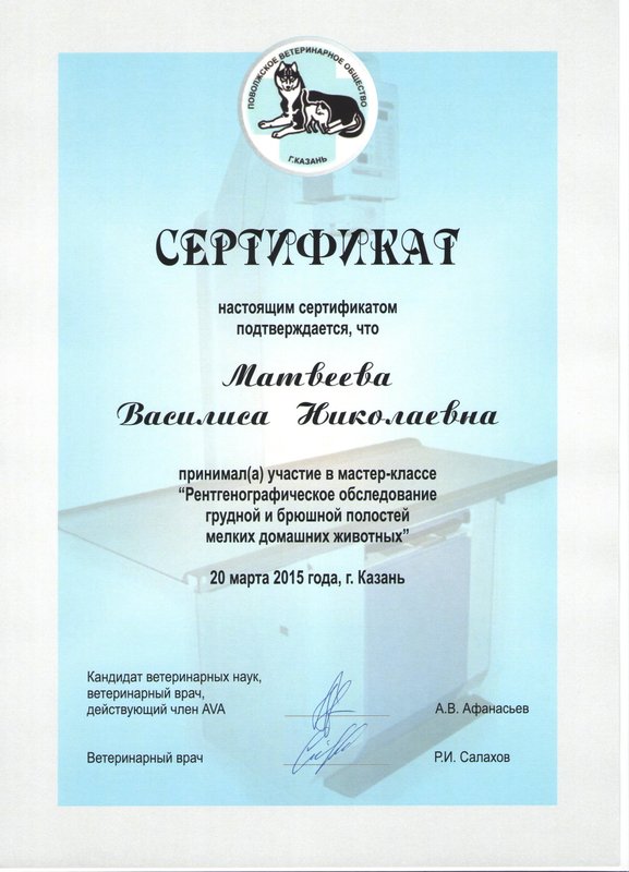 Документ или сертификат