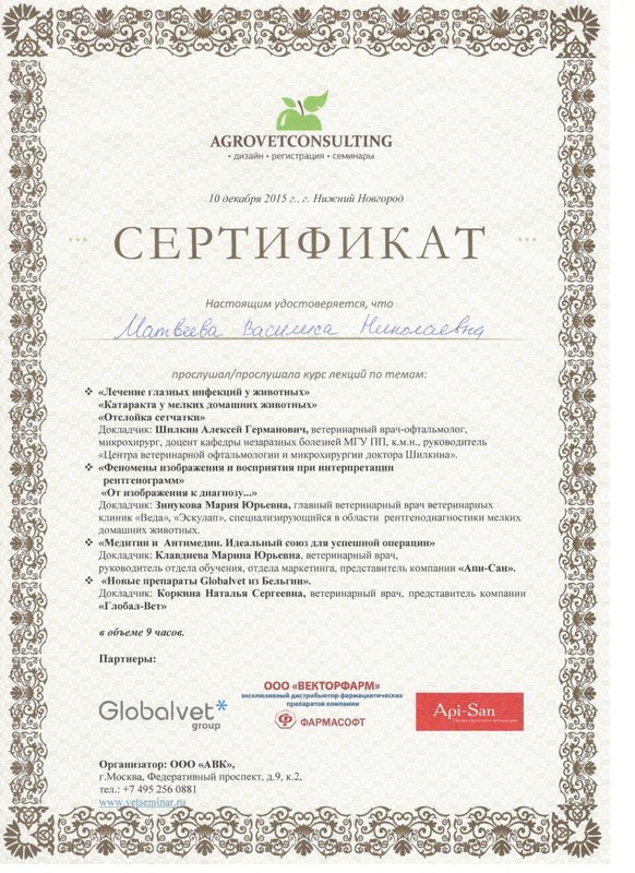 Документ или сертификат