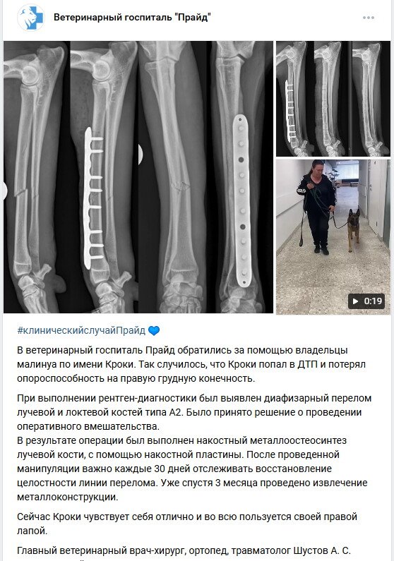 Фото врача