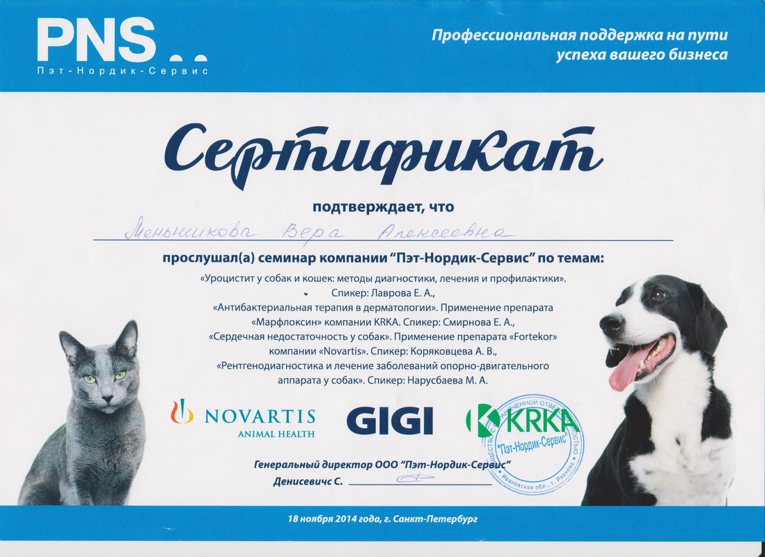 Документ или сертификат