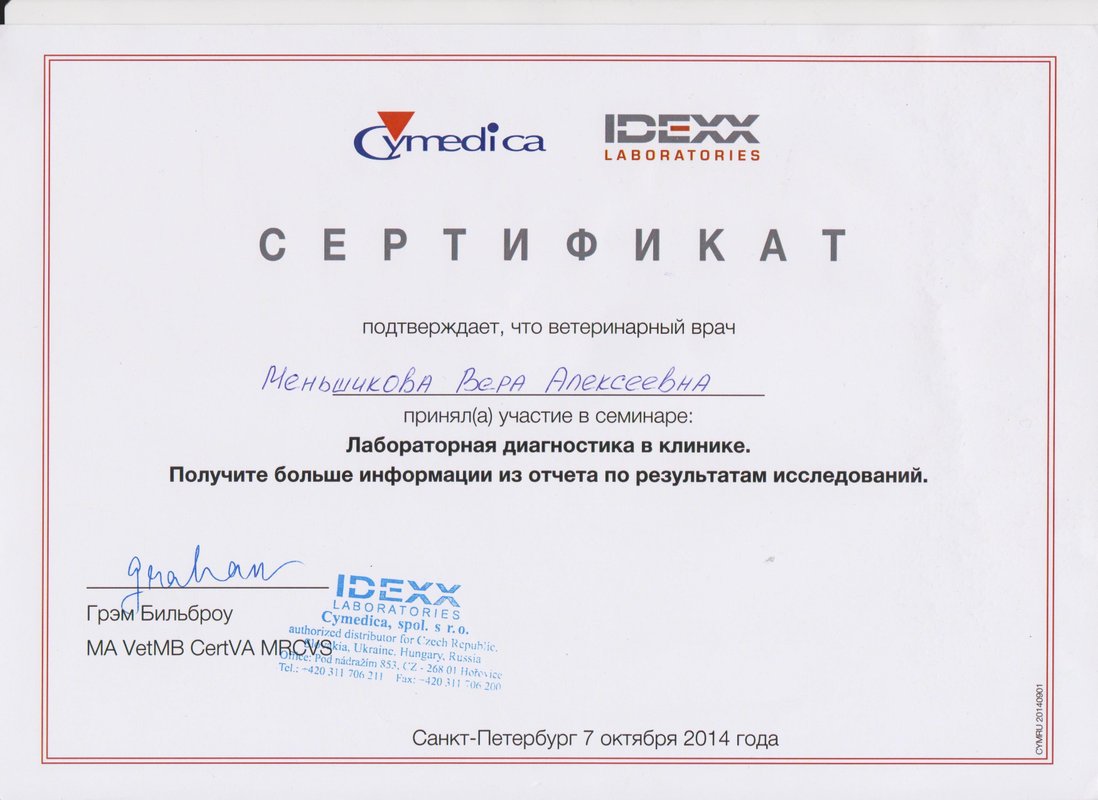 Документ или сертификат