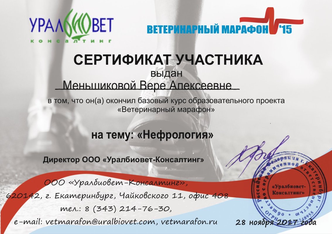 Документ или сертификат