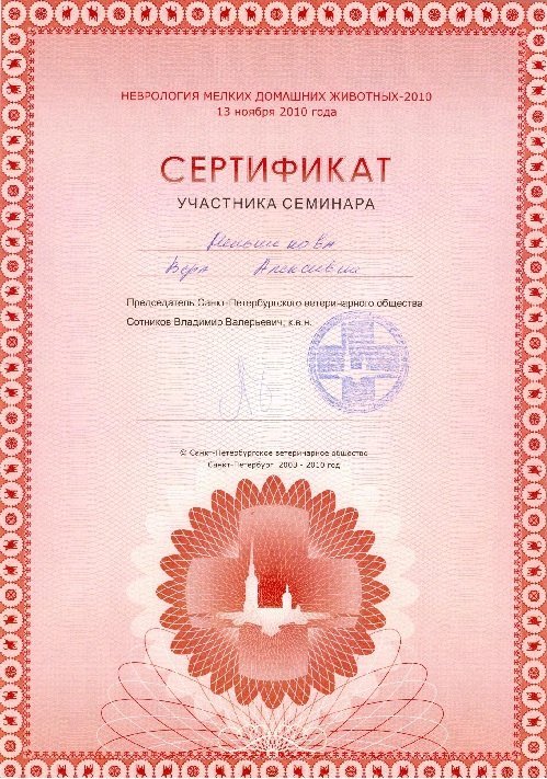 Документ или сертификат