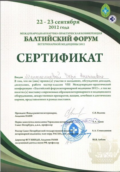 Документ или сертификат