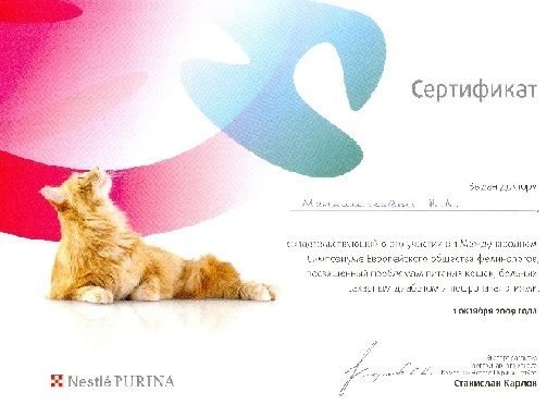 Документ или сертификат