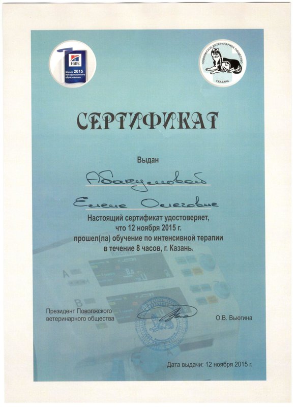 Документ или сертификат