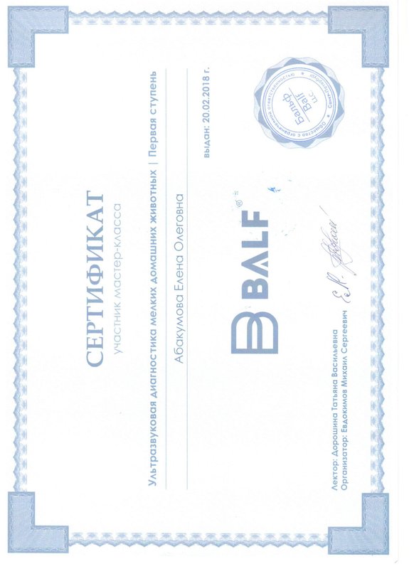 Документ или сертификат
