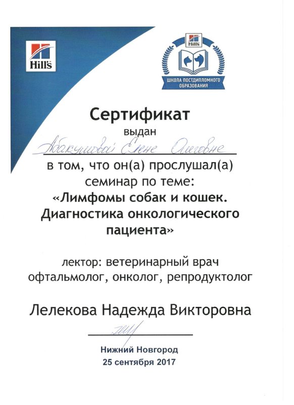 Документ или сертификат