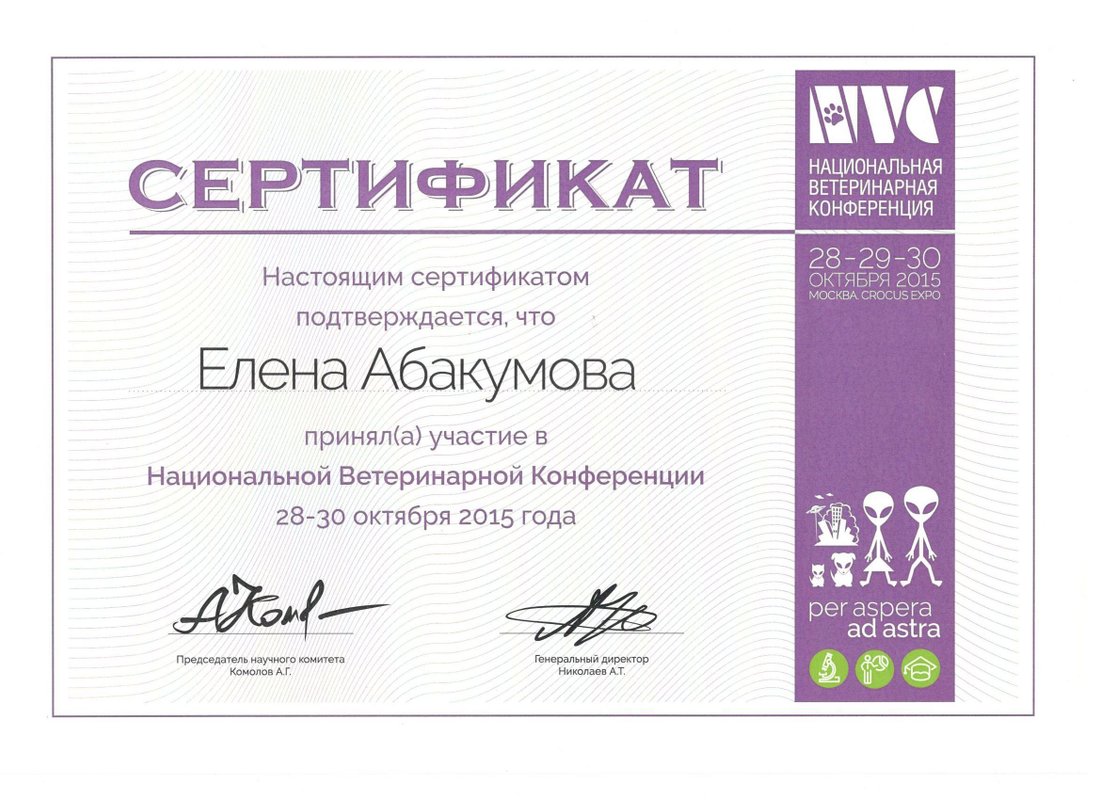Документ или сертификат