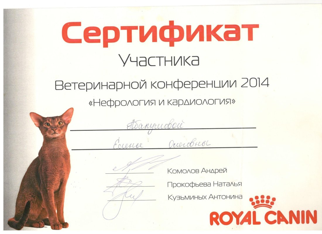 Документ или сертификат