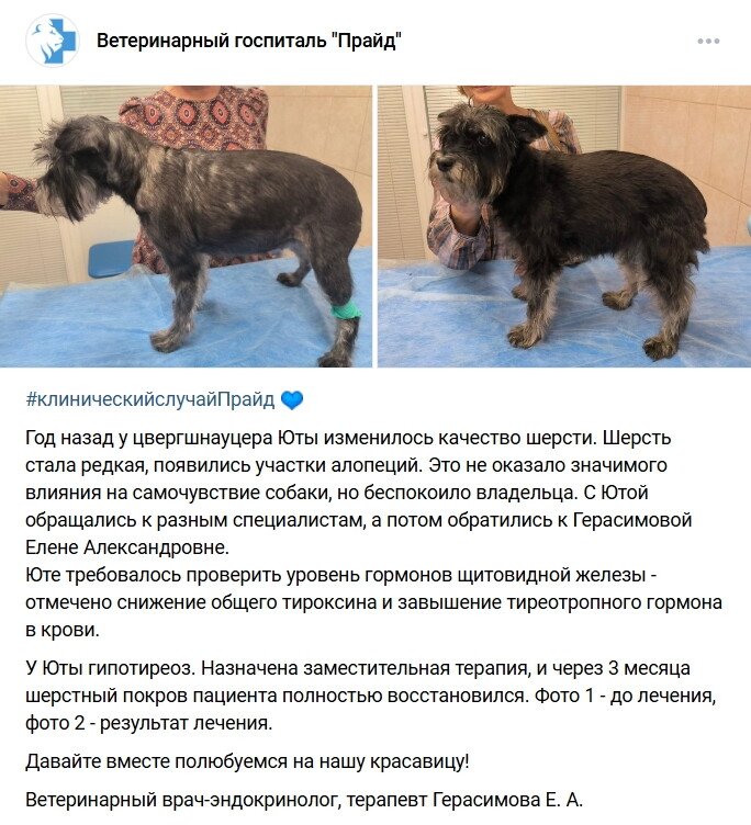 Фото врача