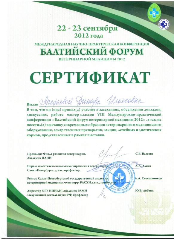 Документ или сертификат