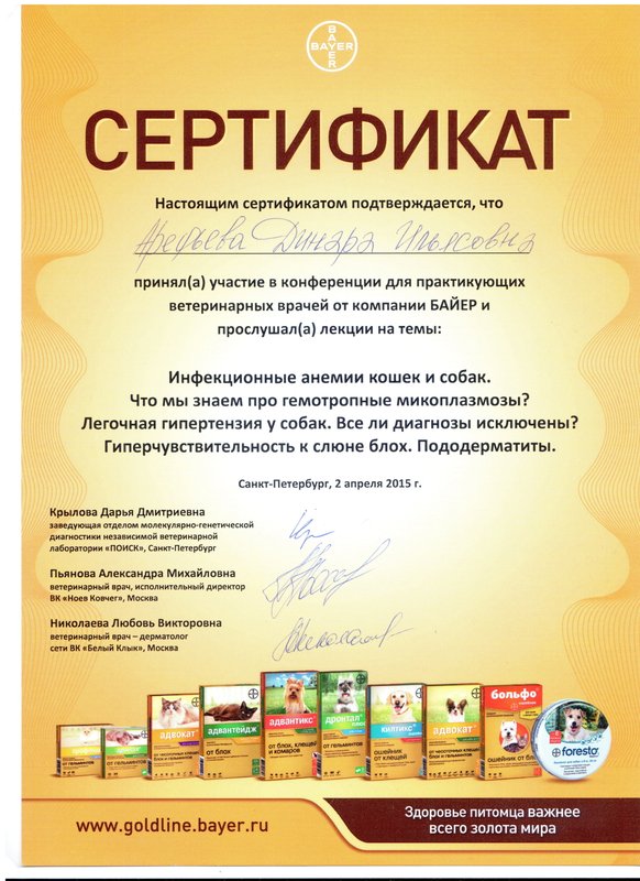 Документ или сертификат
