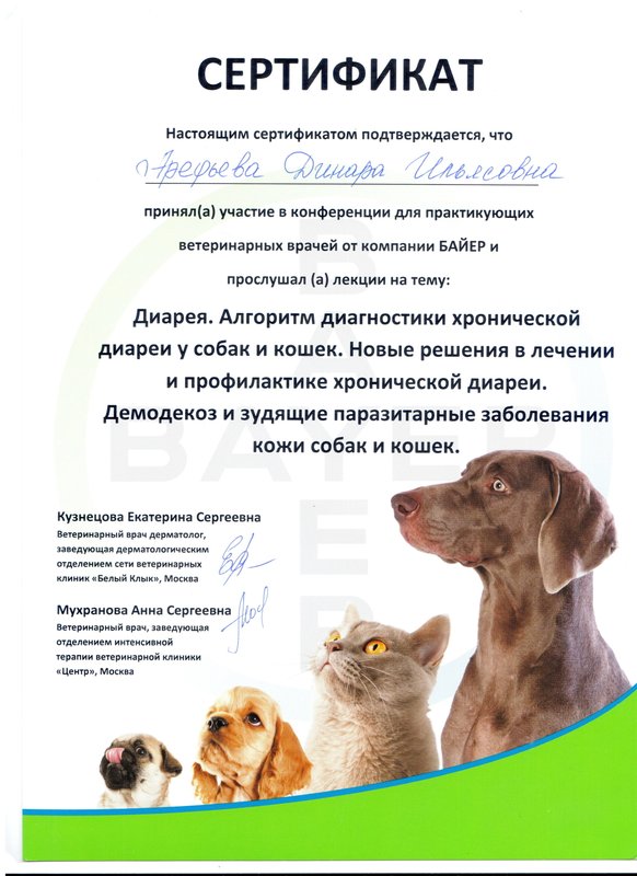 Документ или сертификат