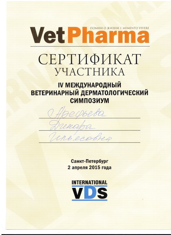 Документ или сертификат