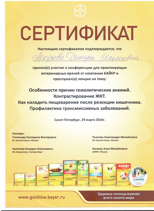 Документ или сертификат