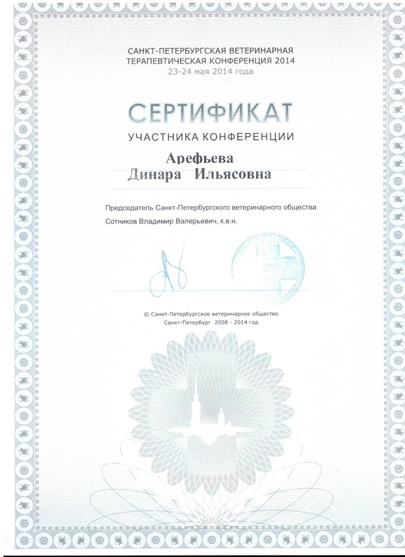 Документ или сертификат