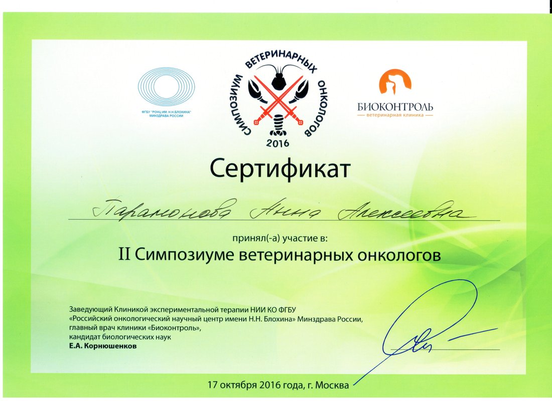 Документ или сертификат