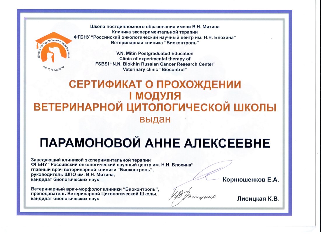 Документ или сертификат