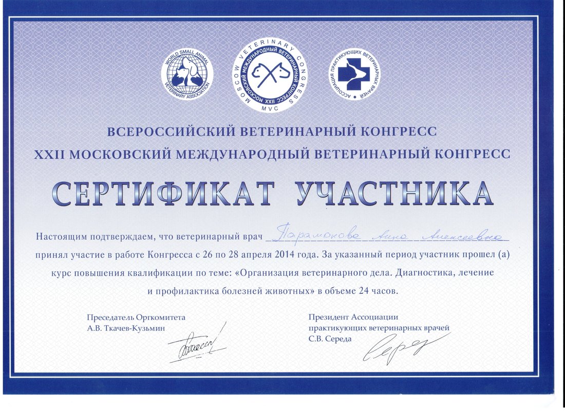 Документ или сертификат